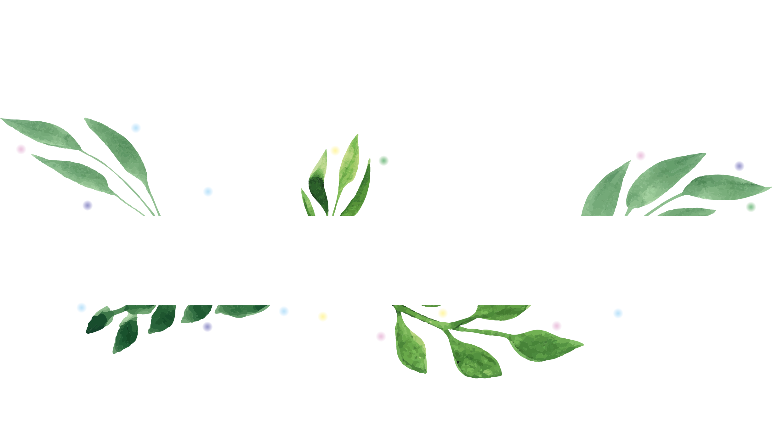 Barbara Graphisme